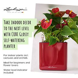 LECHUZA CUBE Glossy Kiss Square Poly Resin Indoor Self-watering Planter