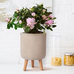 IDEALIST Lite Plaited Style Cylinder Planter on Legs, Round Pot Plant Stand Indoor