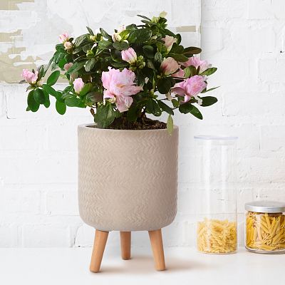 IDEALIST Lite Plaited Style Cylinder Planter on Legs, Round Pot Plant Stand Indoor