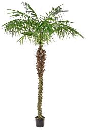 Palm Phoenix Flame Retardant Artificial Tree Plant