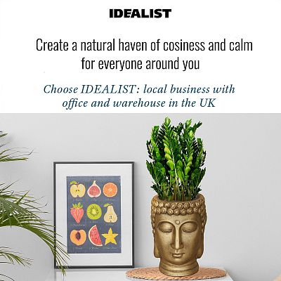 IDEALIST Lite Buddha Oval Face Plant Pot Indoor