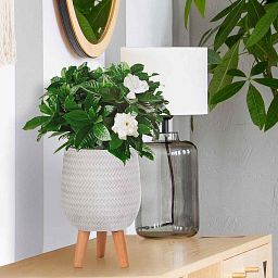 IDEALIST Lite Plaited Style Egg Planter on Legs, Round Pot Plant Stand Indoor