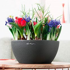 LECHUZA CUBETO COLOR Round Stone Look Poly Resin Self-watering Planter