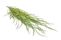Trailing Flame Retardant Artificial Grass Plant