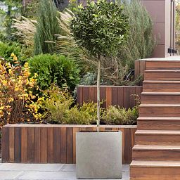 IDEALIST Lite Square Box Contemporary Light Concrete Planter