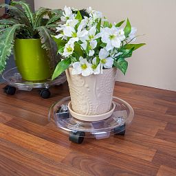 Clear Plastic Plant Caddy on Wheels