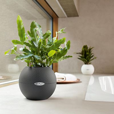 LECHUZA PURO Color Round Poly Resin Self-watering Planter