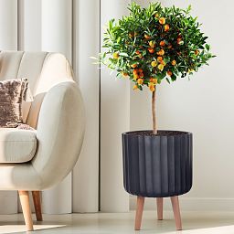 IDEALIST Lite Modern Ribbed Cylinder Planter on Legs, Round Pot Plant Stand Indoor