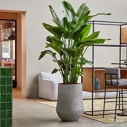 Polystone Planter | Tapered Round Indoor and Outdoor Plant Pot 
