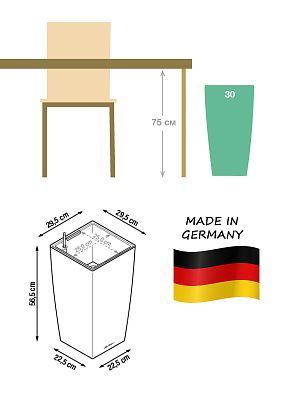 Citrofortunella Calamondine in LECHUZA CUBICO Cottage Self-watering Planter, Total Height 100 cm