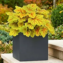 IDEALIST Lite Contemporary Flower Box Square Garden Planter, Faux Lead...