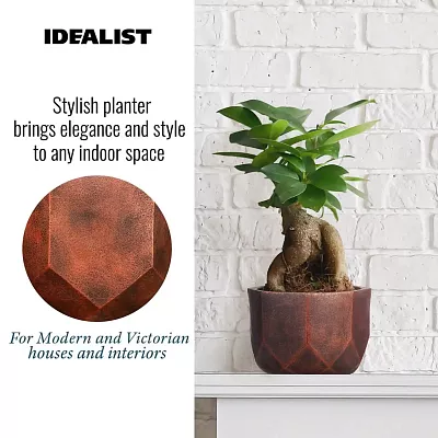IDEALIST Lite Geometry Style Round Indoor Planter