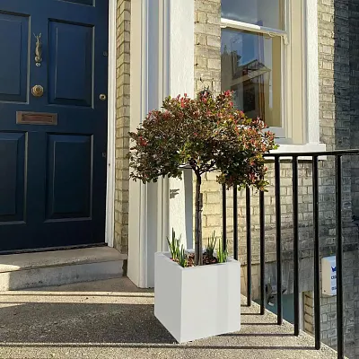 IDEALIST Lite Square Box Contemporary Light Concrete Planter