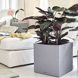 LECHUZA CANTO Stone Low Square Poly Resin Self-watering Planter