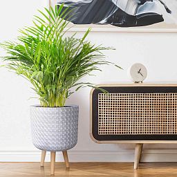 IDEALIST Lite Faceted Effect Planter on Legs