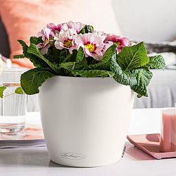 LECHUZA CLASSICO Color Round Poly Resin Self-watering Planter