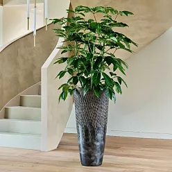 Luxe Lite Universe Comet Tall Indoor Planter