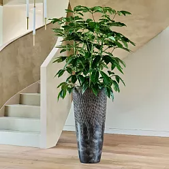 Luxe Lite Universe Comet Tall Indoor Planter