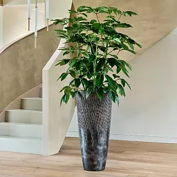 Luxe Lite Universe Comet Tall Indoor Planter