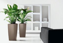 LECHUZA CUBICO Square Tall Poly Resin Self-watering Planter