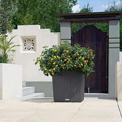 LECHUZA CUBE Cottage Square Poly Resin Self-watering Planter