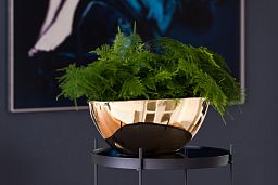 Fiberstone Glossy Dorant Planter by Idealist Premium
