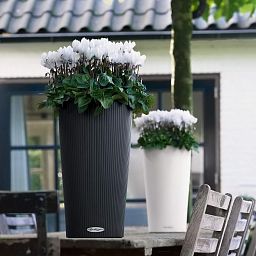 LECHUZA CILINDRO Color Round Tall Poly Resin Self-watering Planter