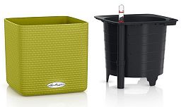 LECHUZA CUBE Color Square Poly Resin Indoor Self-watering Planter