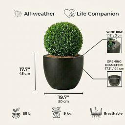 IDEALIST Lite Contemporary Light Concrete Egg Planter