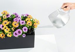 LECHUZA BALCONERA Cottage Trough Poly Resin Self-watering Planter Set