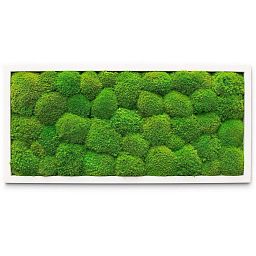 PREMIUM Moss Wall Art Artificial Moss Plant