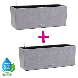 LECHUZA BALCONERA Stone Trough Poly Resin Self-watering Planter Set