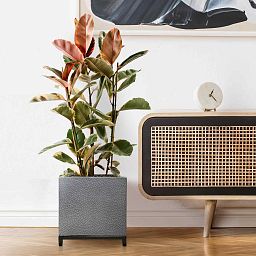 IDEALIST Lite Hammered Stone Style Square Indoor Planter on Metal Stand