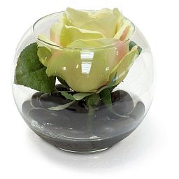 NATURAL ILLUSION Glass Vase