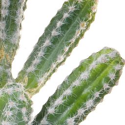 Cactus with Black Pot YF Artificial Flower Plant