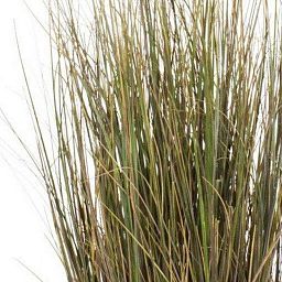 ONION GRASS Artificial Grass Plant