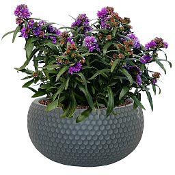 IDEALIST Lite Honeycomb Style Bowl Outdoor Planter