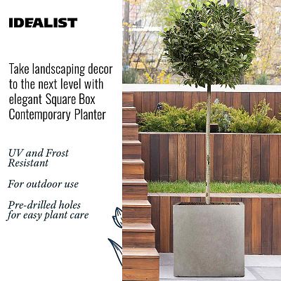 IDEALIST Lite Square Box Contemporary Light Concrete Planter