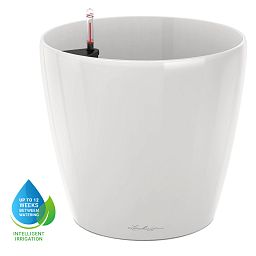 LECHUZA CLASSICO Round Poly Resin Self-watering Planter with Substrate