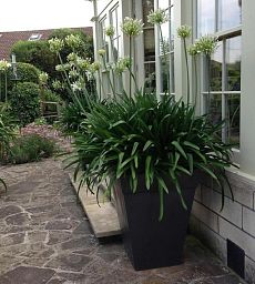 Geo Classic Fiberglass Square Tall Aluminium Planter Pot In/Out