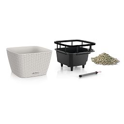 LECHUZA BACINO Cottage Square Poly Resin Self-watering Planter