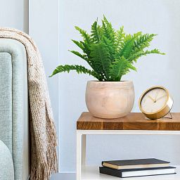 HORTICO ECO Wooden House Planter Round Indoor Plant Pot for House Plants with Waterproof Liner