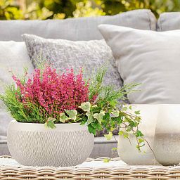 IDEALIST Lite Mesh Style Bowl Planter Outdoor Plant Pot