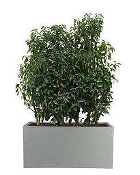 IDEALIST Lite Contemporary Light Concrete Trough Planter Set