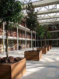 Hardwood Sevilla Square Wood Outdoor Planter