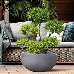 IDEALIST Lite Classic Smooth Bowl Outdoor Planter