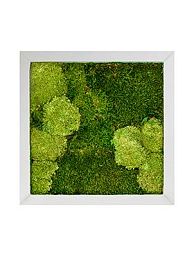 Moss Painting Superline Square