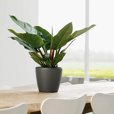 LECHUZA CLASSICO LS Round Poly Resin Self-watering Planter