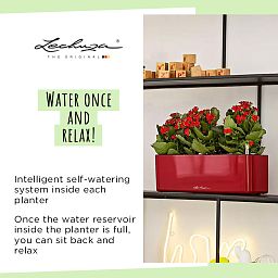 LECHUZA CUBE Glossy Triple Trough Poly Resin Self-watering Planter