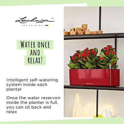 LECHUZA CUBE Glossy Triple Trough Poly Resin Self-watering Planter